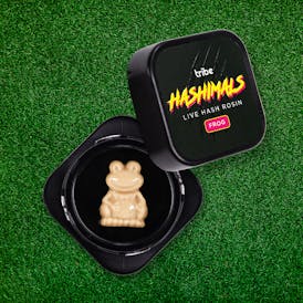 Sour Papaya - Hashimals - Live Hash Rosin - Frog - 1g