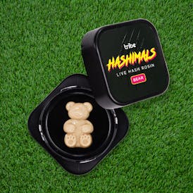Strawberry Cooler - Hashimals - Live Hash Rosin - Bear - 1.5g