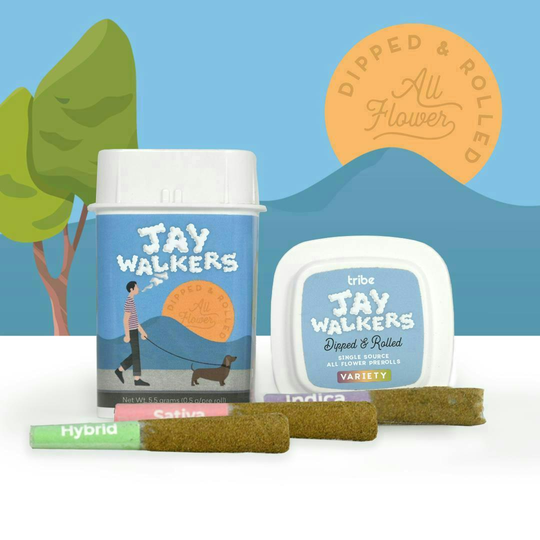 Tribe | Variety | Jaywalkers Dipped Infused Minis | 0.55g each | 11pk