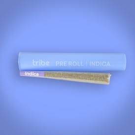 Watermelon Mimosa - Indica - Flower Pre Roll - 1g