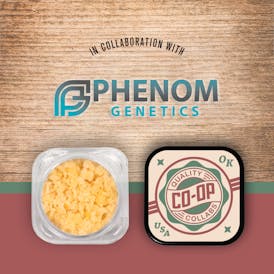 CO-OP x Phenom Genetics - 4g - Gorilla Zoap - Crumble