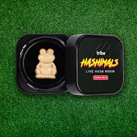 Tangie Jelly - Hashimals - Live Hash Rosin - Frog - 1g