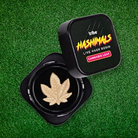 Strawberry Cooler - Hashimals - Live Hash Rosin - Cannabis Leaf - 2g