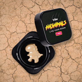 Strawberry Cooler - Hashimals - Live Hash Rosin - Trex - 0.5g