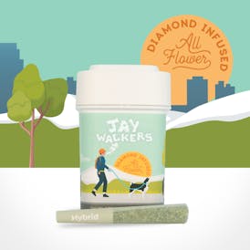Jaywalkers Diamond Infused Pre Rolls - Double Biscotti - 11 pack - 4.95g