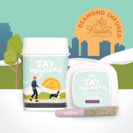 Jaywalkers Diamond Infused - Octane Burger - 11pk - Infused Pre Rolls-4.95g