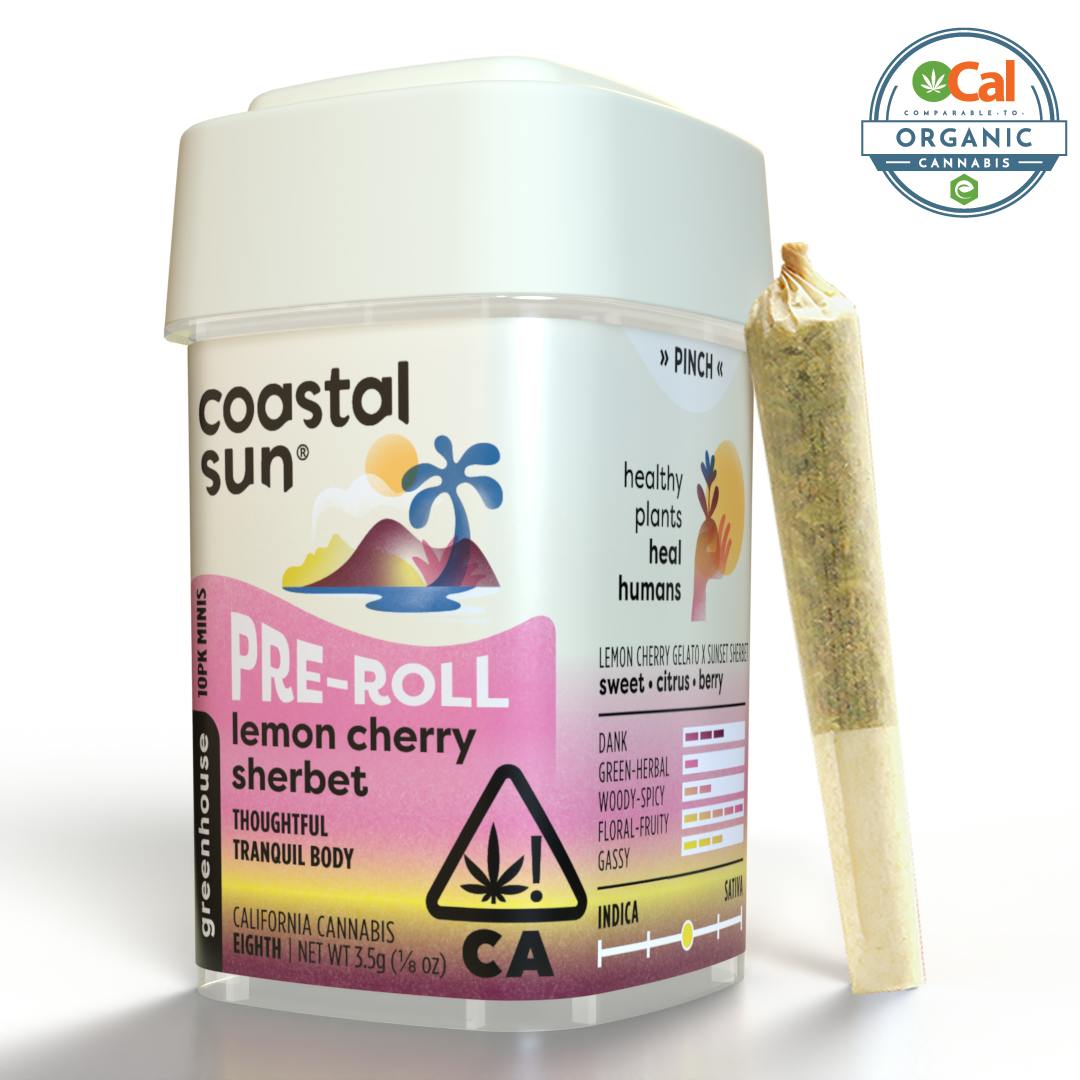 Coastal Sun | Lemon Cherry Sherbet | Mini Joints | 0.35g | 10pk
