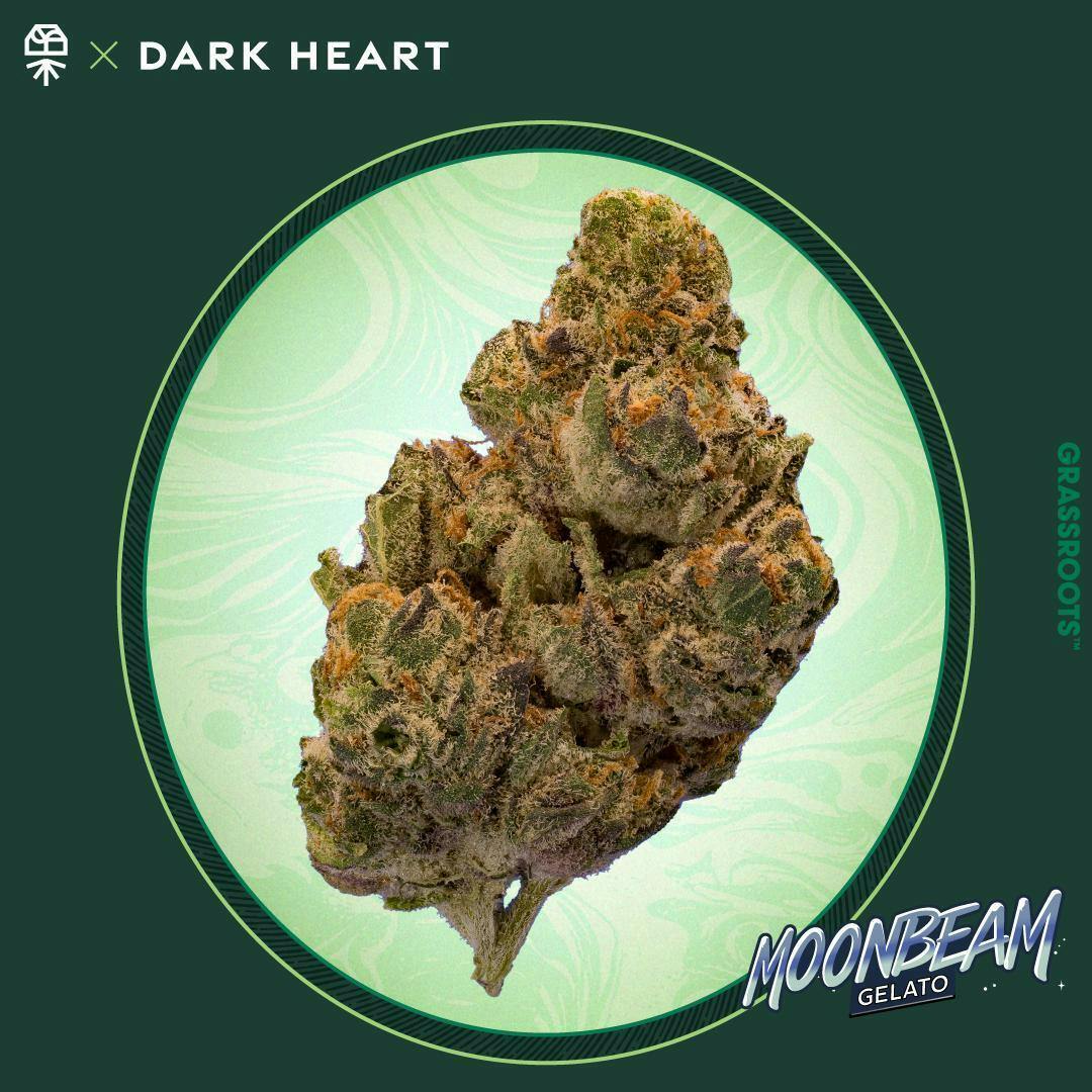 Moonbeam Gelato Whole Flower - Dark Heart Collection
