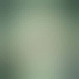 Moonbeam Gelato Small Buds - Dark Heart Collection