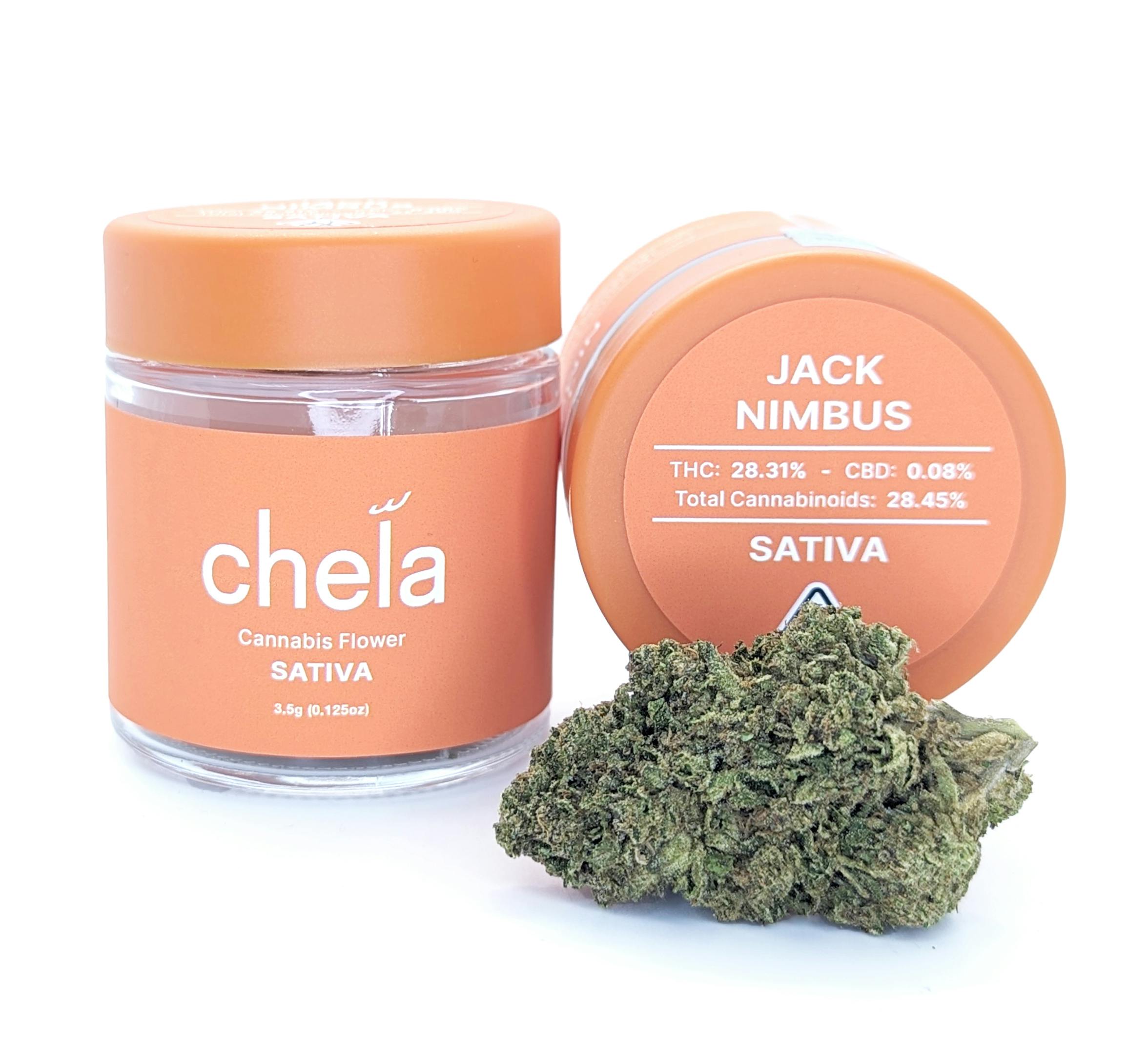 Chela - Light - Jack Nimbus