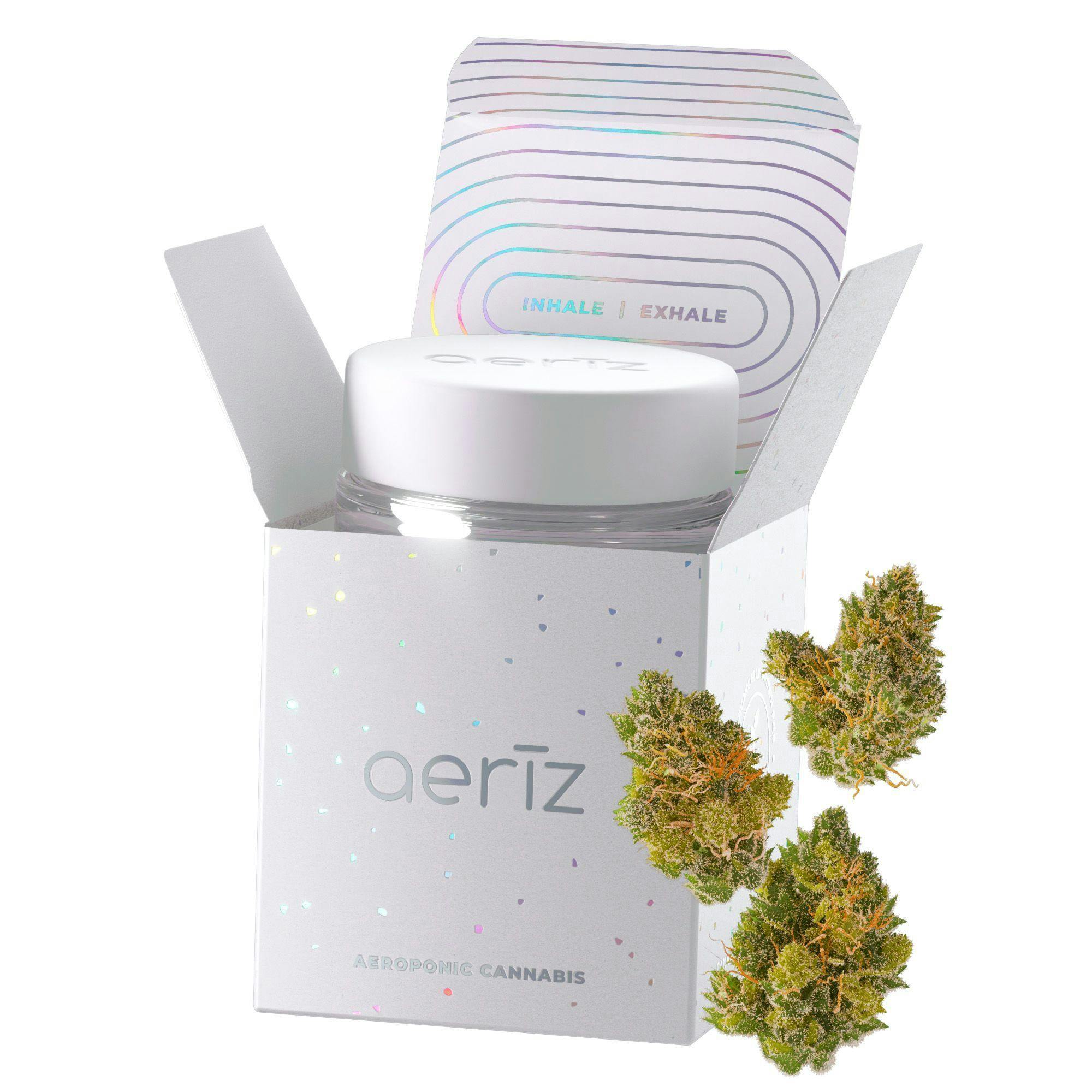 G Tank Premier Flower