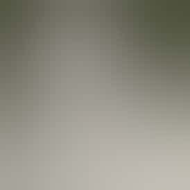 Bloom Live Surf All-In-One 500mg | Rainbow Z