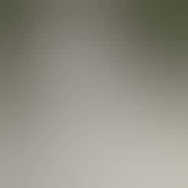 Bloom Live All-In-One 1000mg | Banana Splitz