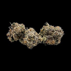 Premium Flower | Eternity | Small Buds
