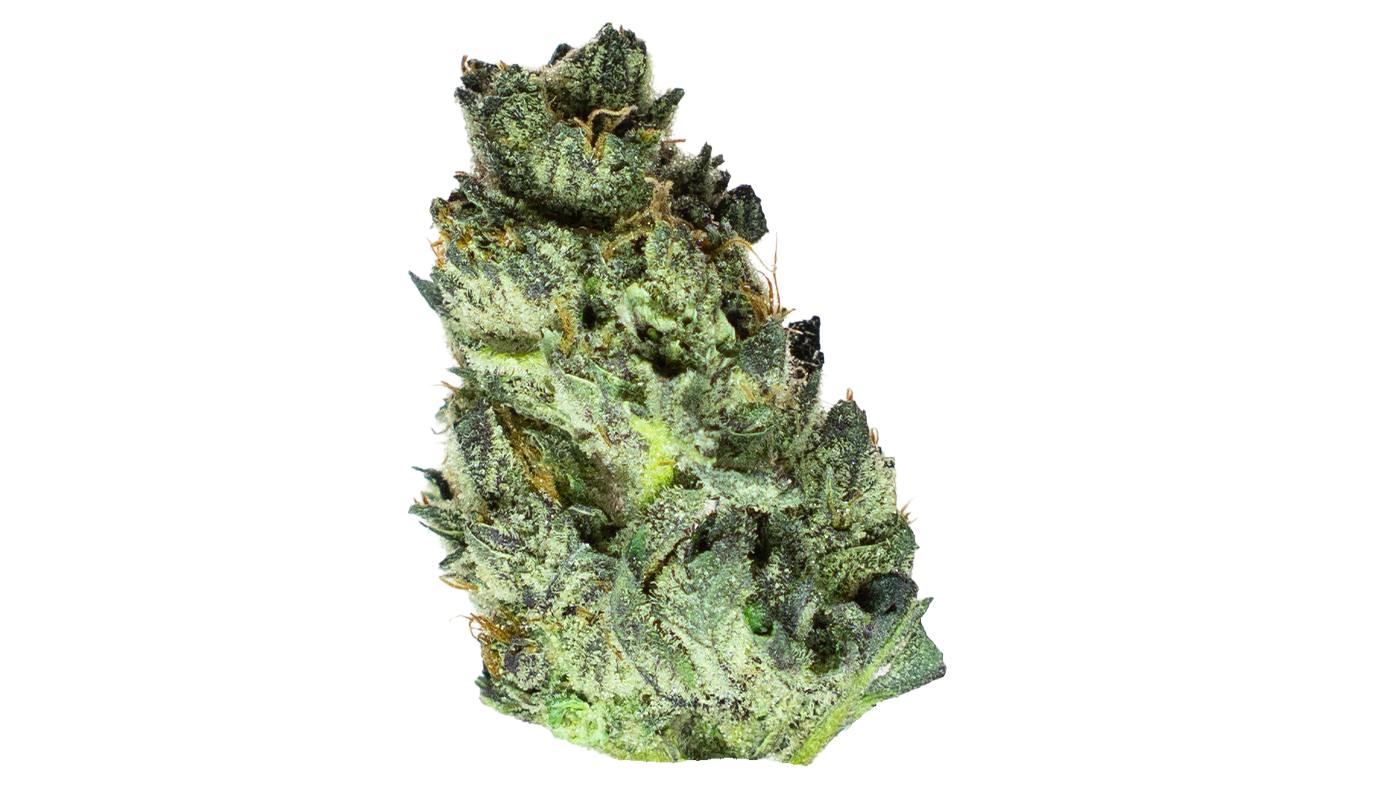 Forte Flower Double Stack g