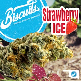 Strawberry Ice - Flower