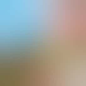 Strawberry Ice - Flower