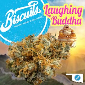 Laughing Budda - Flower