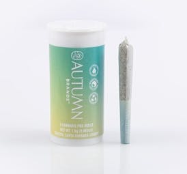 Mini Preroll 5pk Sativa Mango Haze