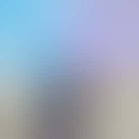 Purple Scissortail - Flower