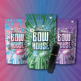 BowHouse | Pink Guava | Disposable | 1G