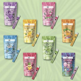 BowHouse | Guava Sherb | Disposable | 2G