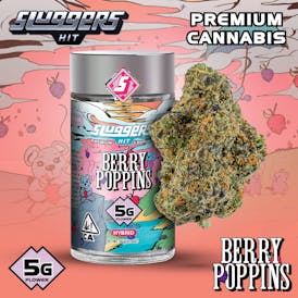 Sluggers - Jarred Flower - 5g - Berry Poppins