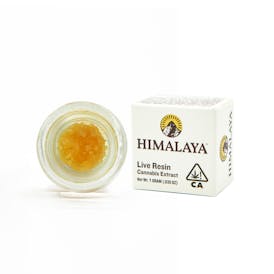 Royal Cherries - Terp Sugar Concentrate - 1G