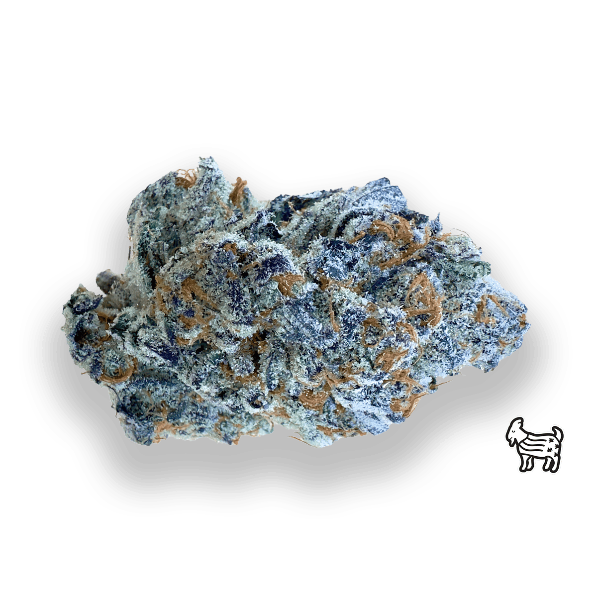 PURPLE DOSIDOS | BIG BUDS | 3.5G by The Laughing Goat