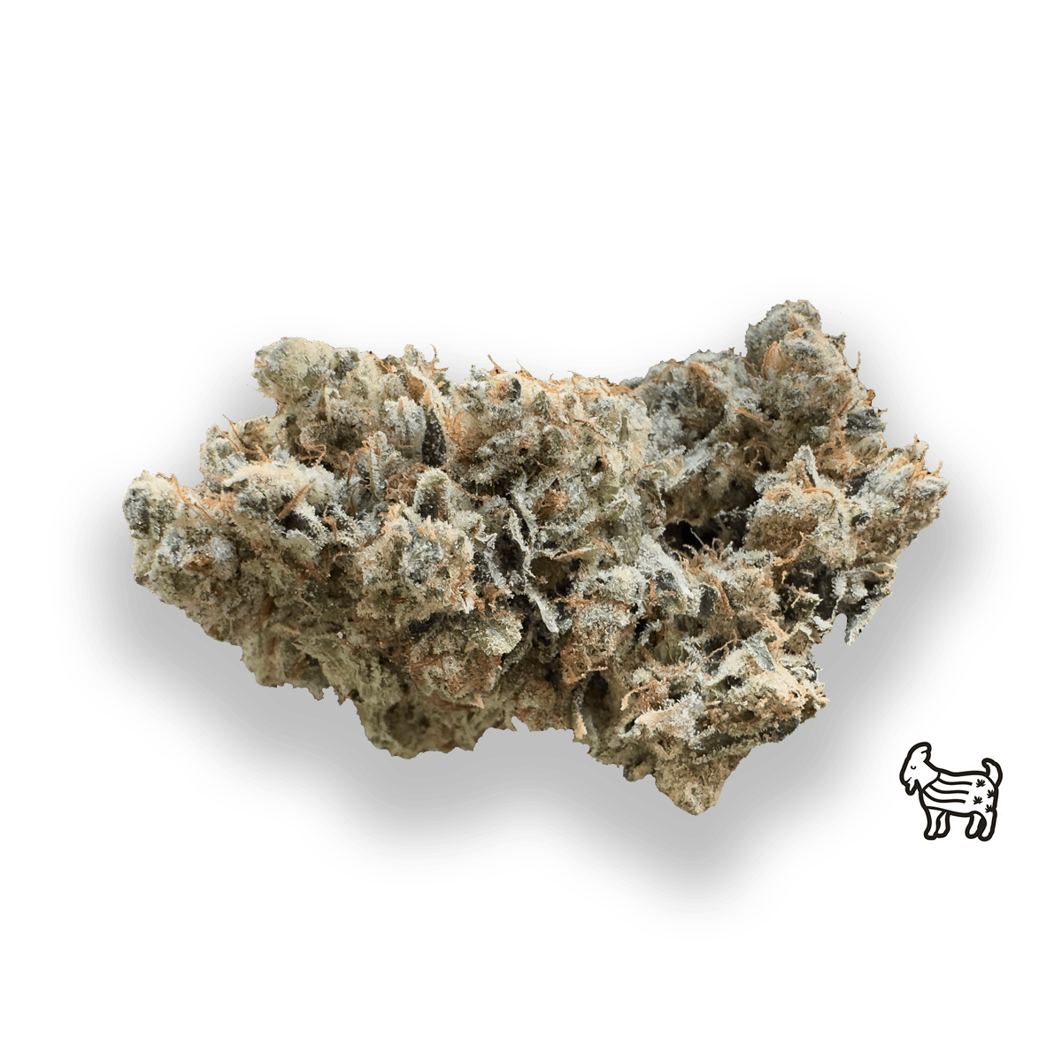 MOTORBREATH #15 | BIG BUDS | 3.5G