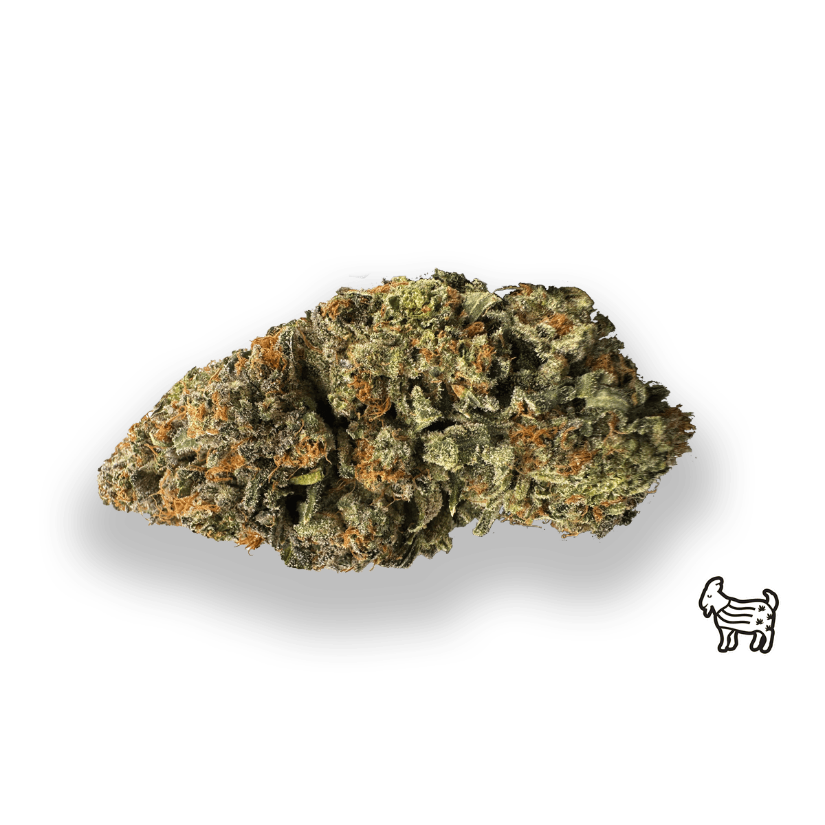 DONNY BURGER | BIG BUDS | 3.5G by The Laughing Goat