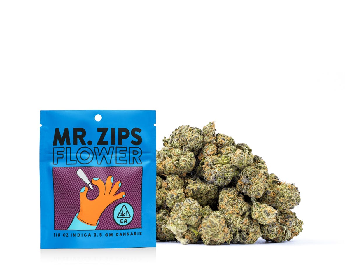 Mr. Zips — Governmint Oasis
