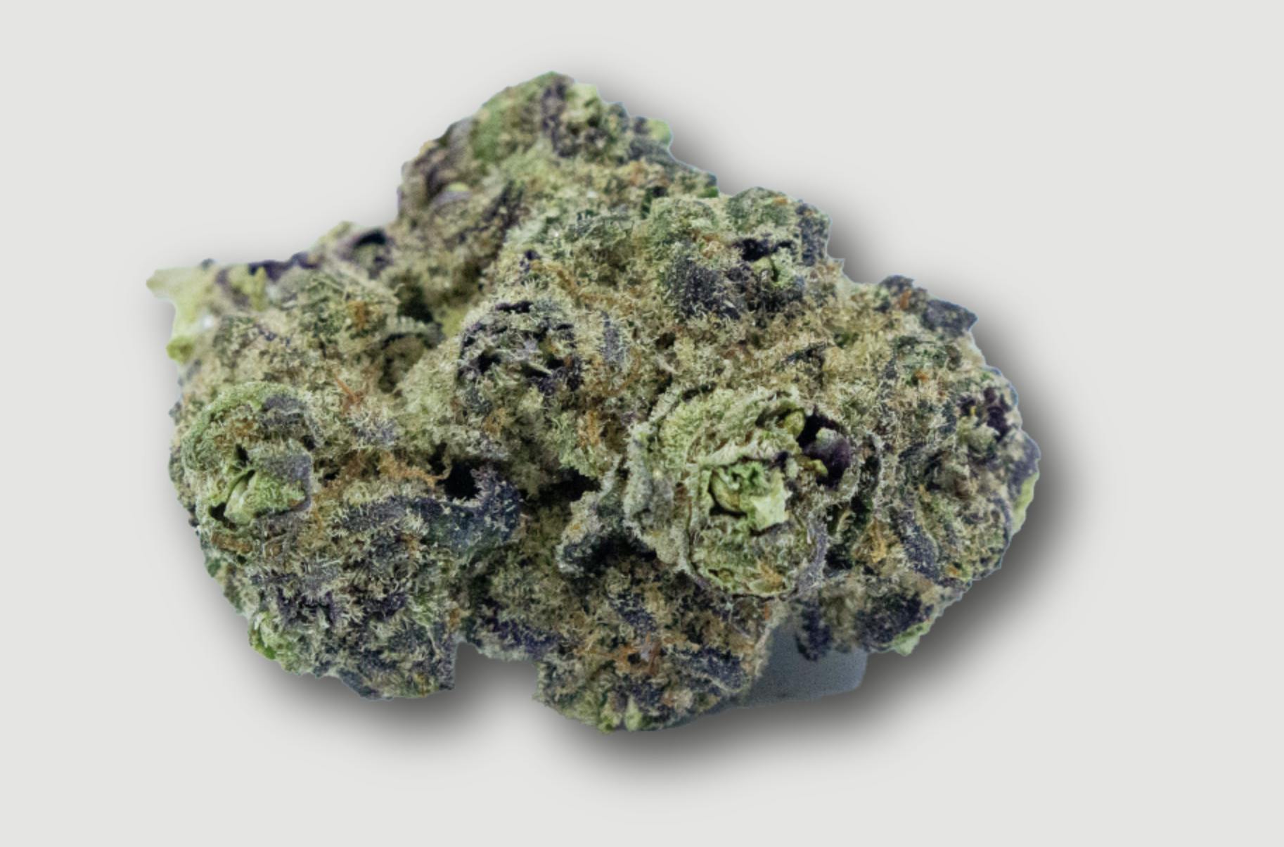 Purlife | Lurple | Flower | 4G by Purlife