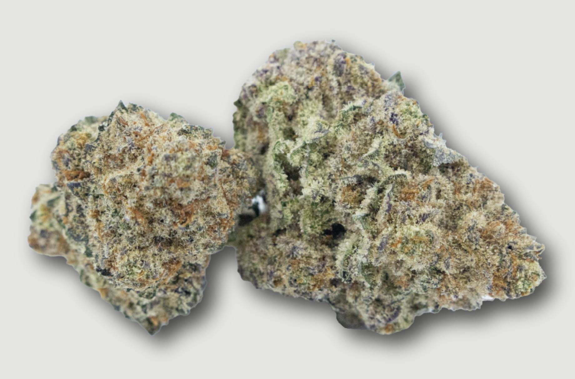 Purlife | Coconut Milk | Flower | 4G by Purlife