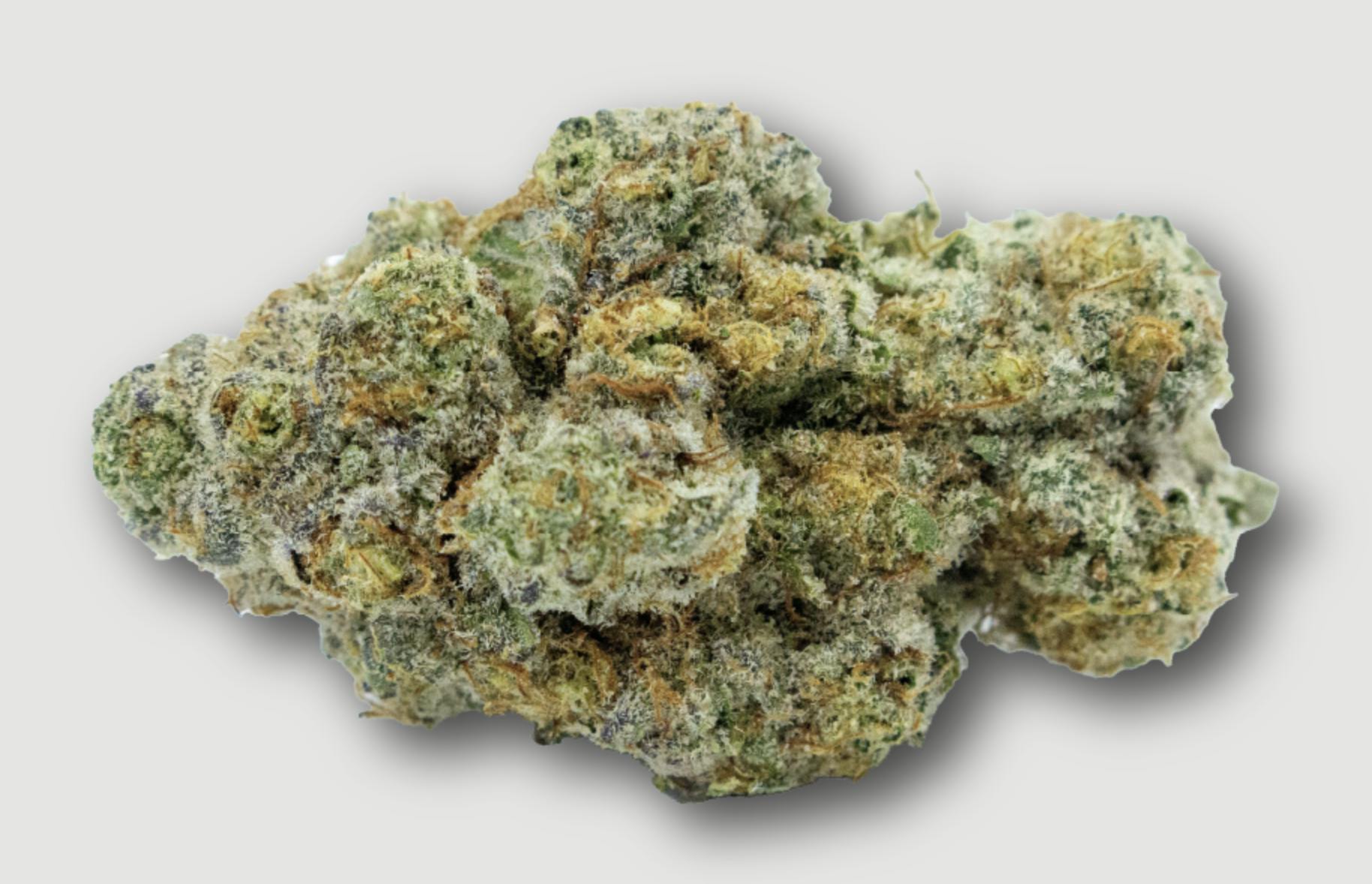 Purlife | Gush Mints | Flower | 4G by Purlife