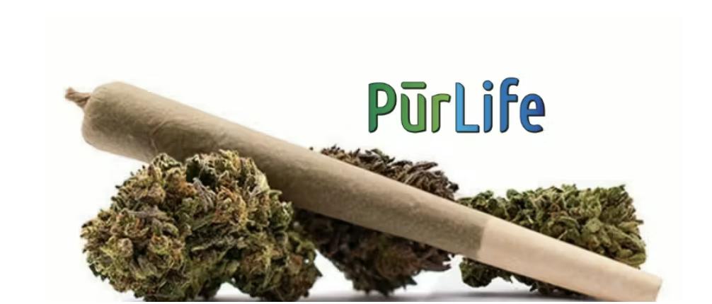 Purlife | Countree Grammer | Pre Roll | 1G by Purlife