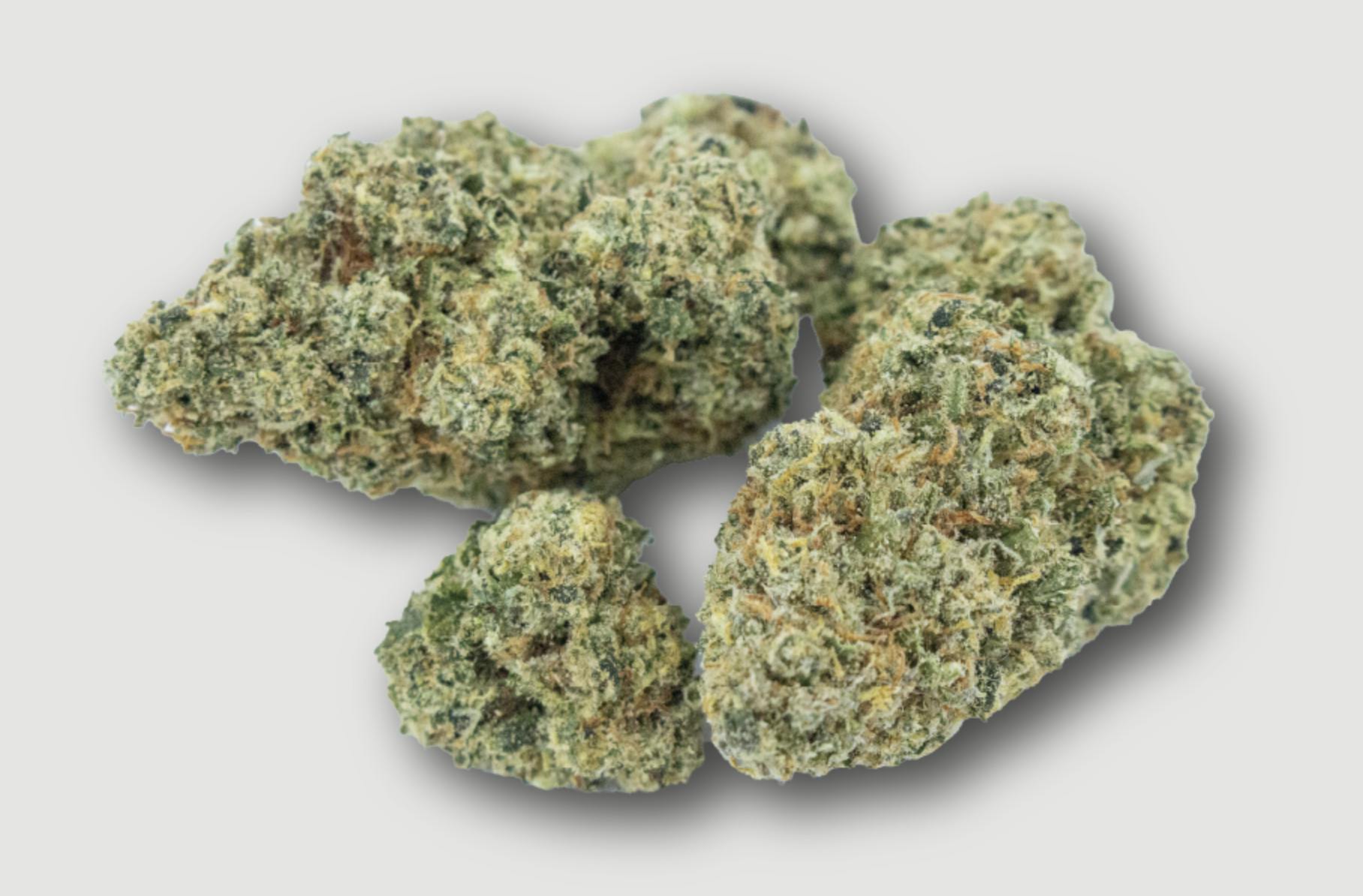 Purlife | Seriotica | Flower | 4G