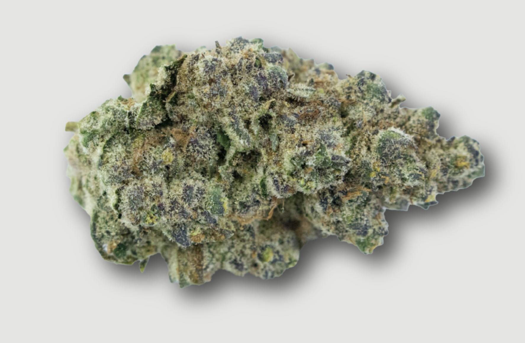 Purlife | Hypothermia | Flower | 4G by Purlife