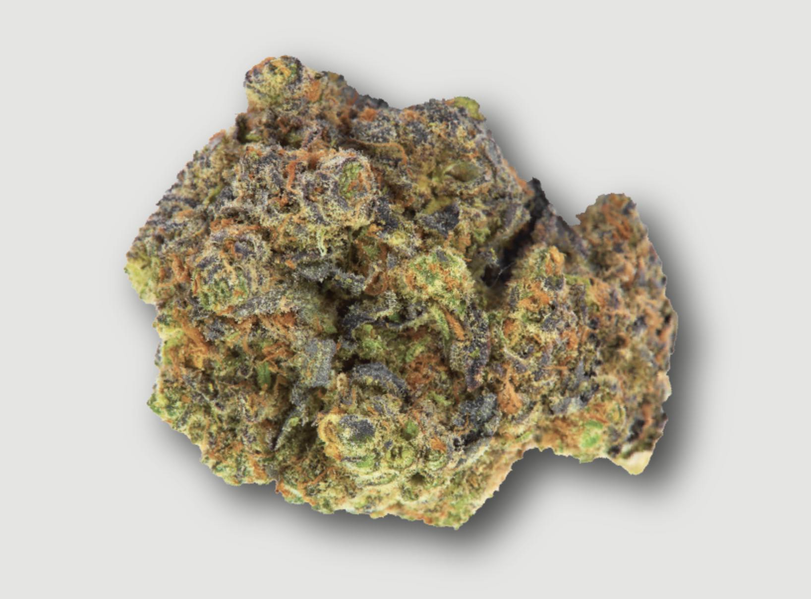 Purlife | Cherry Animal Punch | Flower | 14G by Purlife