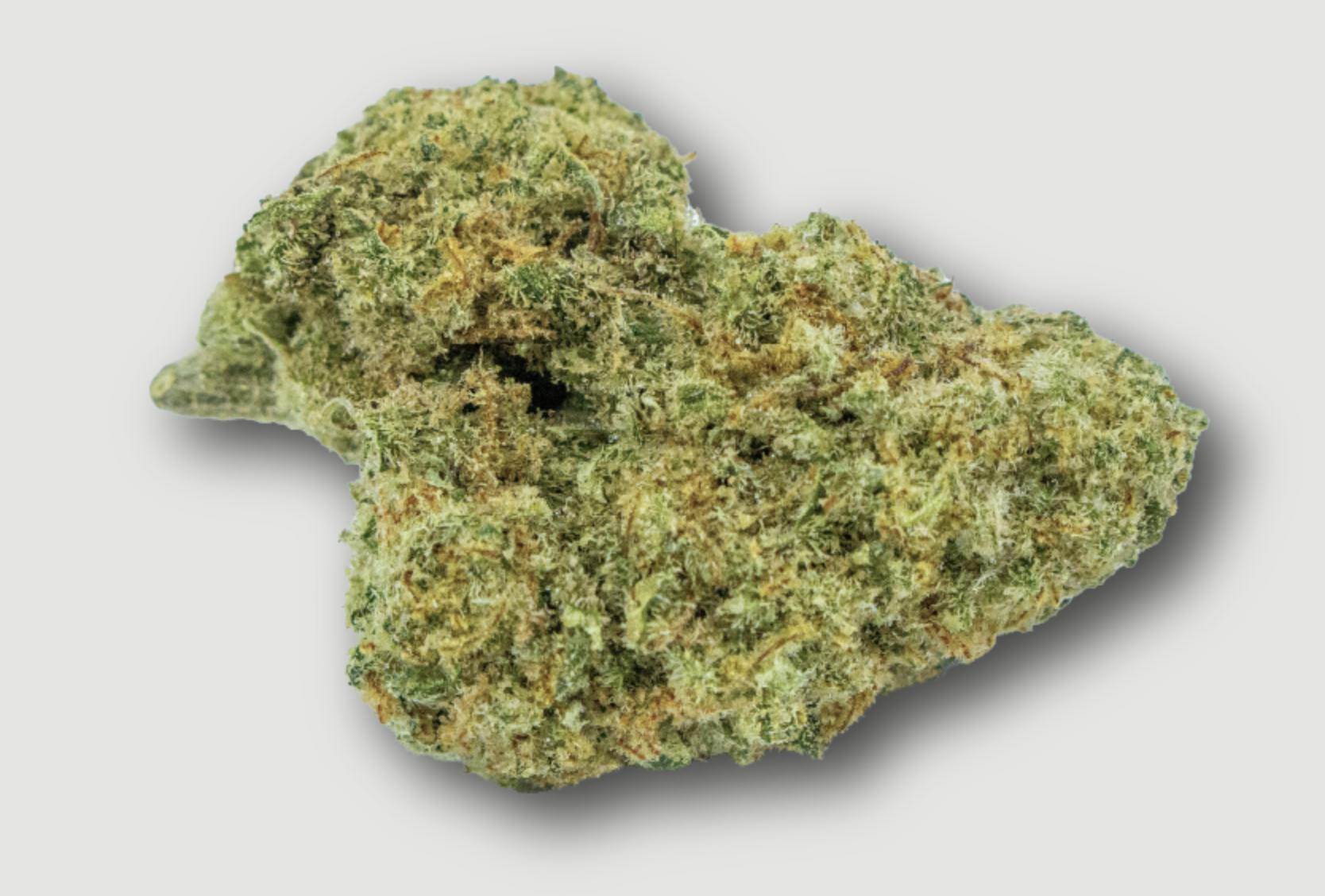 Purlife | Chapel of Love | Flower | 4G by Purlife