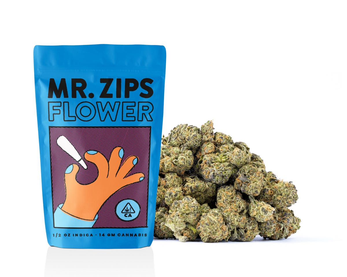 Mr. Zips — Governmint Oasis