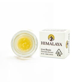Island Mtn. Headband - Terp Sugar Concentrate -1G