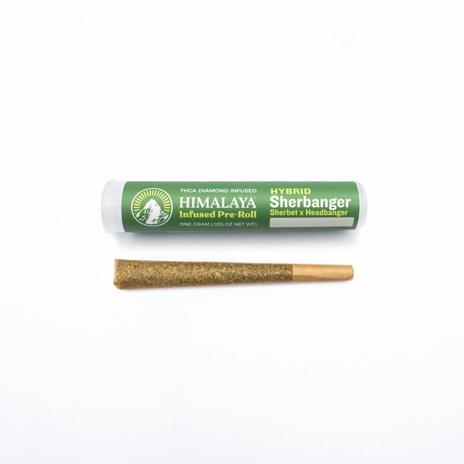 Himalaya — Sherbanger
