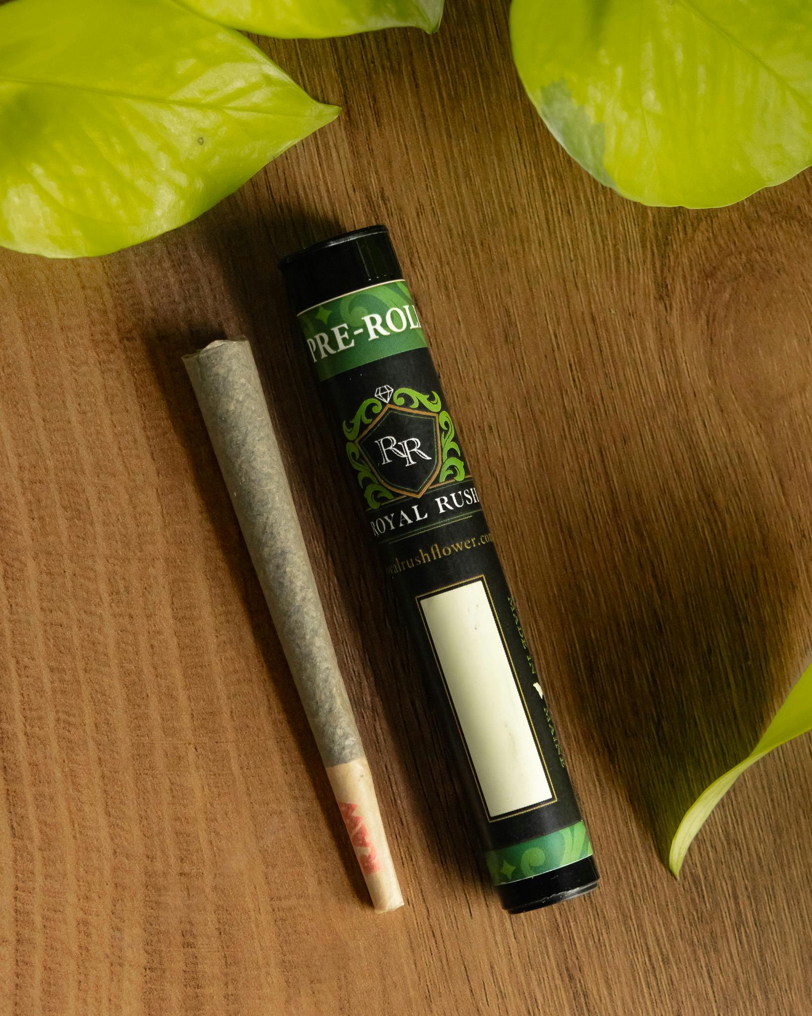 Royal Rush Pre-Roll 1.2g - Modified Grapes (H) by Royal Rush