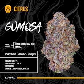 BOSKY - Gumosa (3.5G)