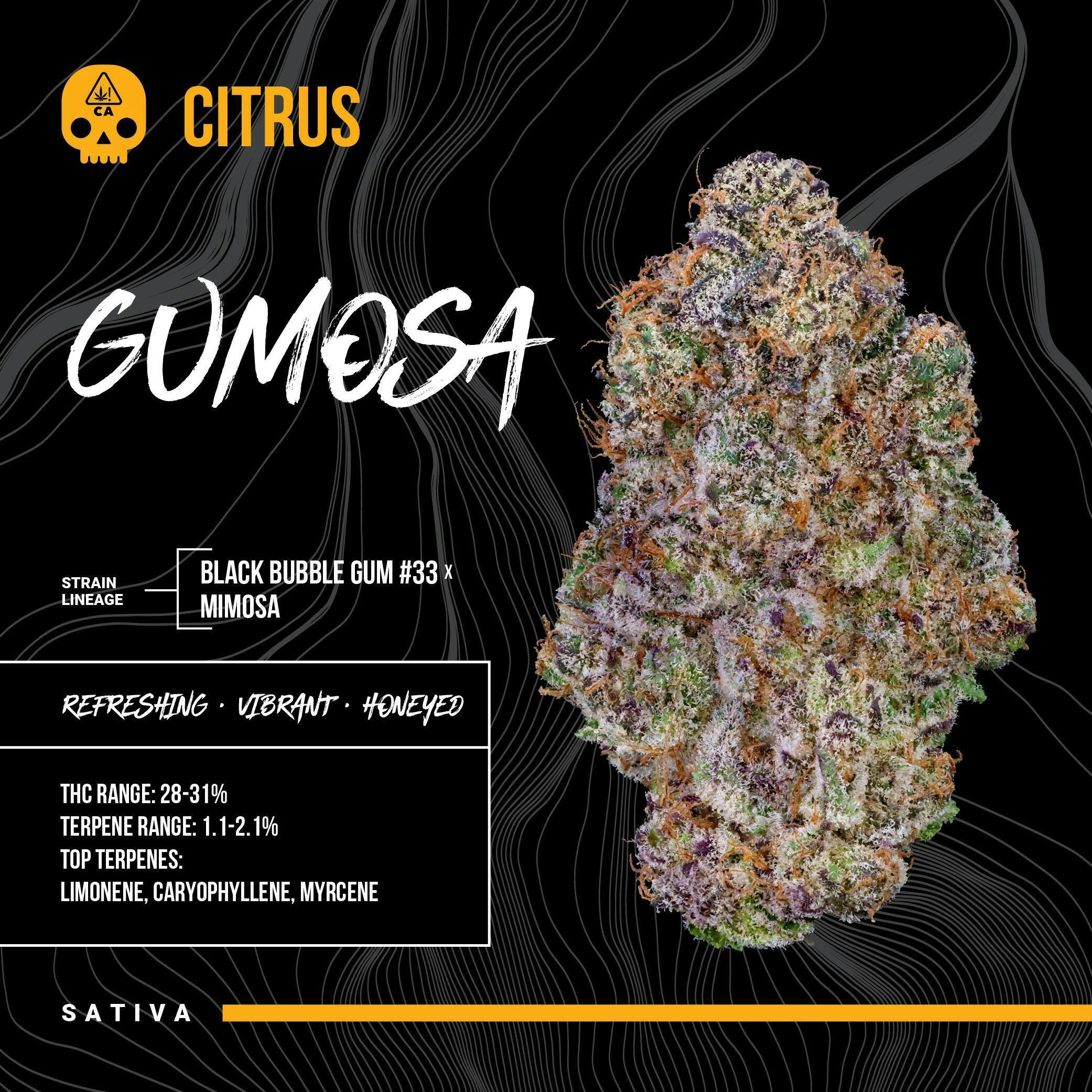 Gumosa Big Buds