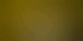 Cartel Oil Co | Extract | Cured Resin | Badder | Tropical Cherry | 1g