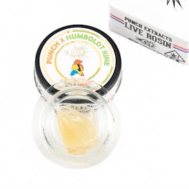 Maple Guava Tier 3 Live Rosin Fresh Press (1g)