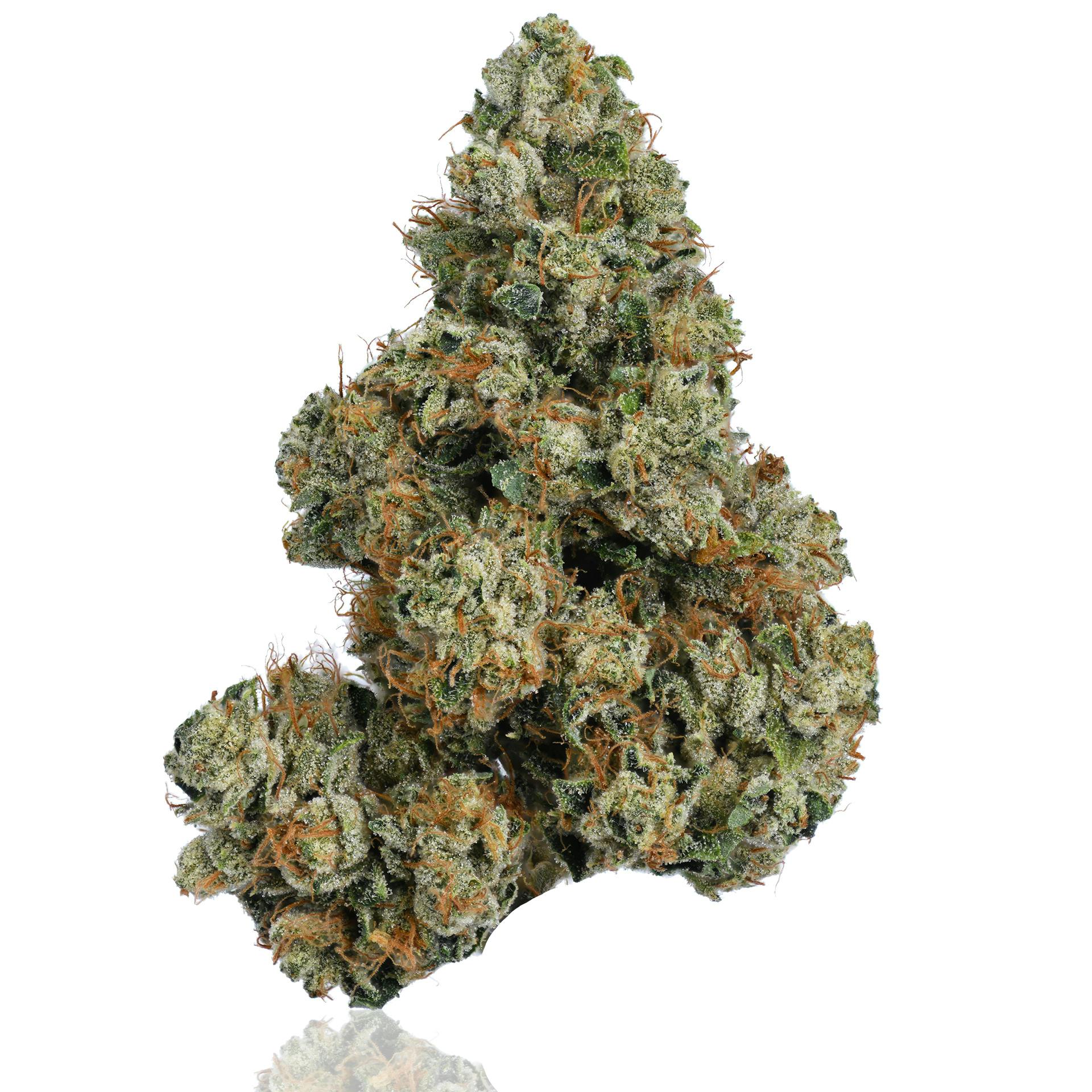 CAM: Skywalker Kush