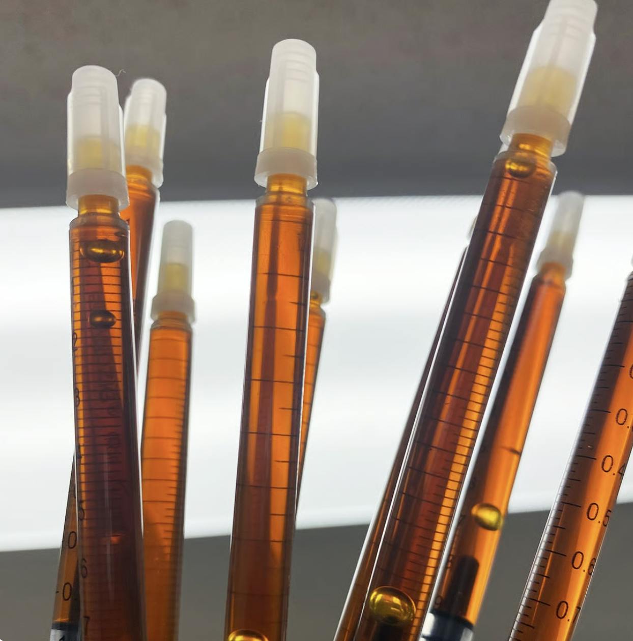 Golden Dragon Activated Oil